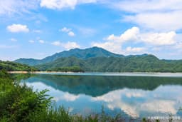 횡성호수길 5구간