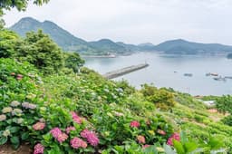 힐링파크 쑥섬쑥섬(애도)