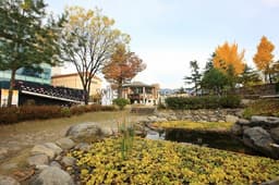 자연이고 예술이고 가는 곳마다 힐링 버스!