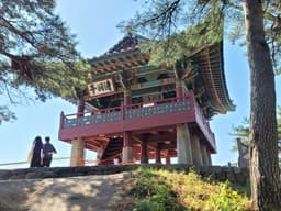 [강원평화누리길 17코스] 고성 송지호 철새길