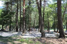 오색솔밭야영장