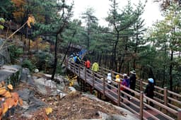 구포무장애숲길