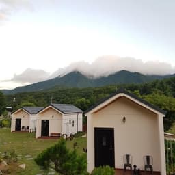 젤루느린 달팽이