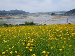 숲쟁이꽃동산