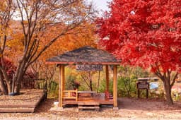 운탄고도 1330 1~3길