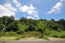 산디마을생태공원캠핑장