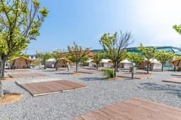 학암포나로캠핑장