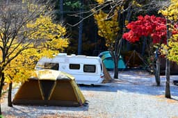 유명산힐링캠프