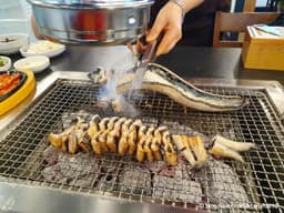 만수민물장어
