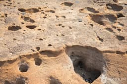 발자국화석공원