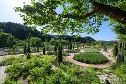 더스테이힐링파크