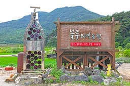 영동블루와인농원