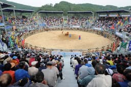 진주 소힘겨루기 경기장