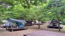 함허동천야영장