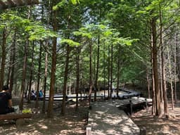 서울대공원 산림욕장