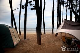 캠핑을 즐기며 여유롭게 돌아보는 태안
