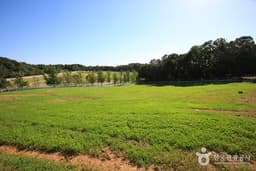 역사와 예술을 만나다 원당 파주