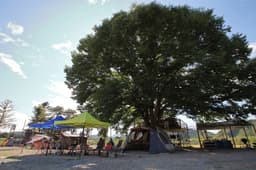 리앤파크캠핑장