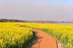 영산강둔치체육공원