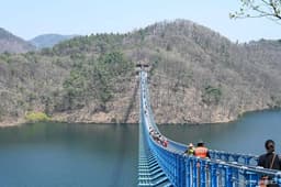 초평호 미르309 출렁다리