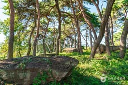 함평용월리지석묘군