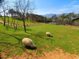 거제도 일상 회복 청춘 투어, 지친 나를 위로하고 치유하는 여행