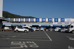 대구광역시농수산물도매시장