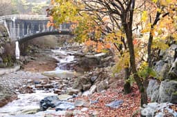 동상운장산계곡