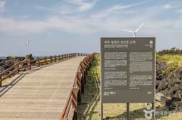 월령 선인장군락지