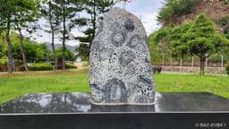 파천 구상 화강암 (청송 국가지질공원)