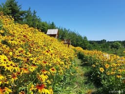 뒷뜨루관광농원