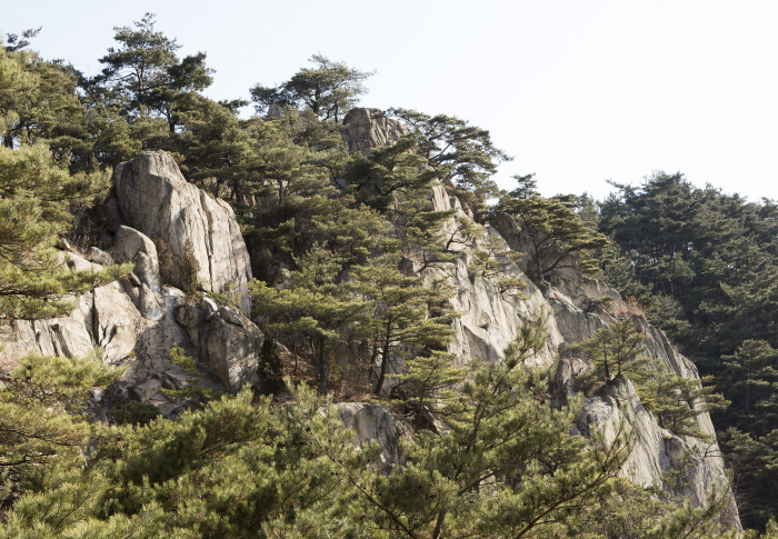 남산 화강암 (경북 동해안 국가지질공원)