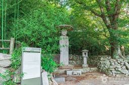 망제동석불입상