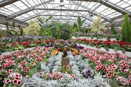 온천의 고장에서 즐기는 스파와 캠핑