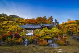 조선왕가(농업회사법인 조선왕가 주식회사)