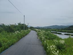 [강원평화누리길 2코스] 철원 두루미 머무는길