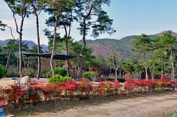 숲속의베리팜