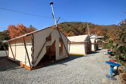 살구나무글램핑