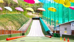 단양 사계절썰매장