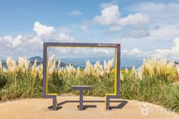 [제주올레 10-1코스] 가파도 올레