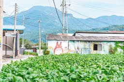 소양 마수벽화마을