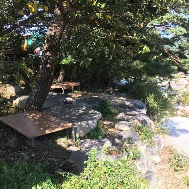 Image 13