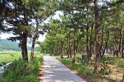 [해파랑길] 48코스