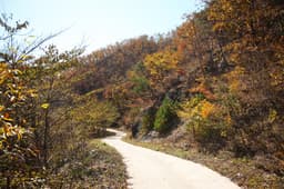 [지리산둘레길] 성심원-어천-운리