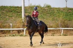 칸승마아카데미