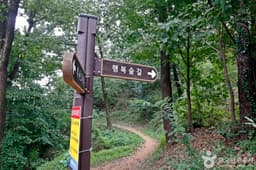 보문산 행복 숲 둘레길