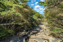 구례장죽전녹차시배지