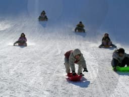 봅슬레이 눈썰매로 겨울이 뜨겁다.