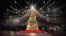 온몸으로 즐기는 대구 2박 3일 코스 여행!