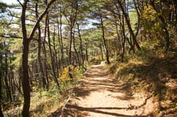 [지리산둘레길] 운리-덕산